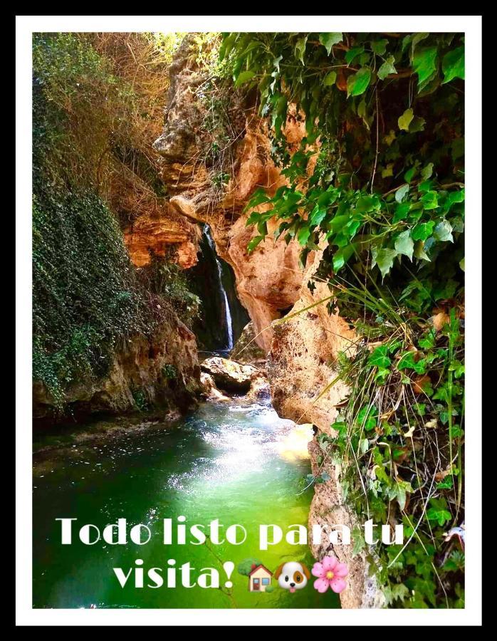 Apartamento Rural La Cascada De Calmarza エクステリア 写真