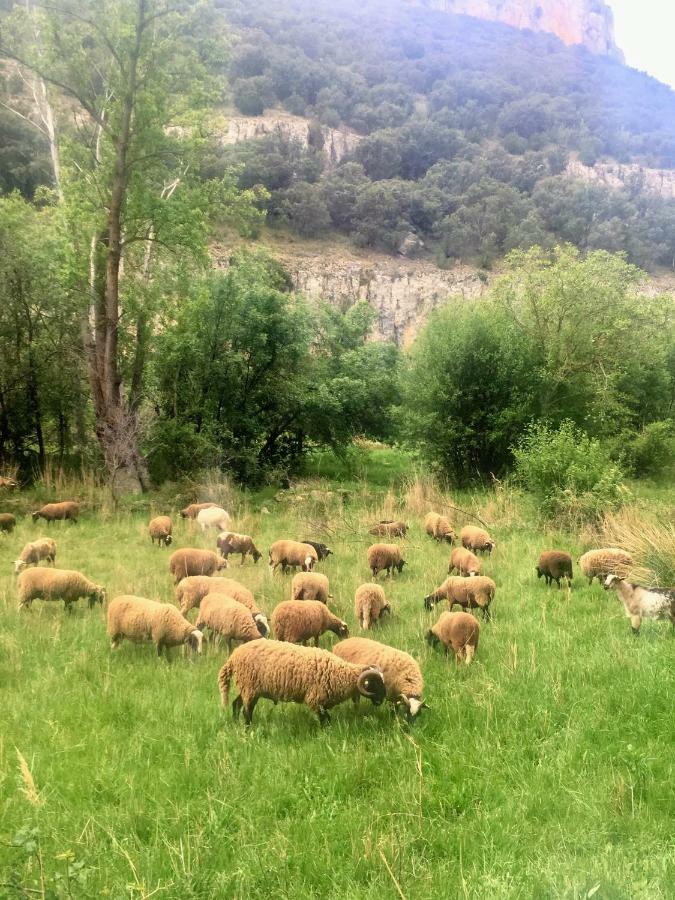 Apartamento Rural La Cascada De Calmarza エクステリア 写真