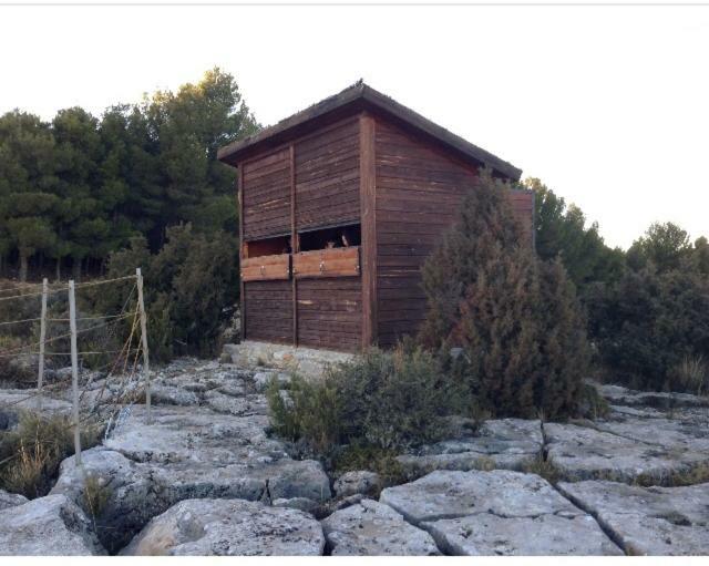 Apartamento Rural La Cascada De Calmarza エクステリア 写真